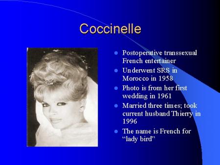 Boys will be Brides [11/50]